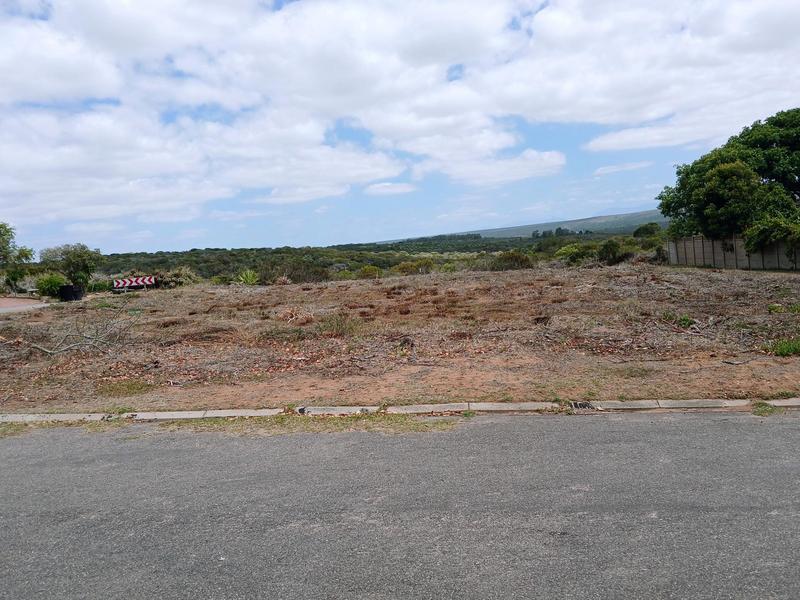 0 Bedroom Property for Sale in Stilbaai Wes Western Cape